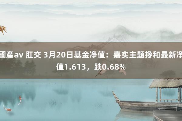 國產av 肛交 3月20日基金净值：嘉实主题搀和最新净值1.613，跌0.68%