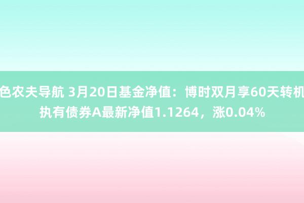 色农夫导航 3月20日基金净值：博时双月享60天转机执有债券A最新净值1.1264，涨0.04%