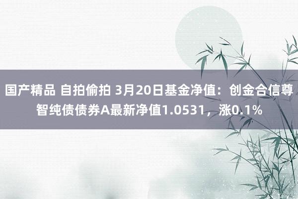 国产精品 自拍偷拍 3月20日基金净值：创金合信尊智纯债债券A最新净值1.0531，涨0.1%