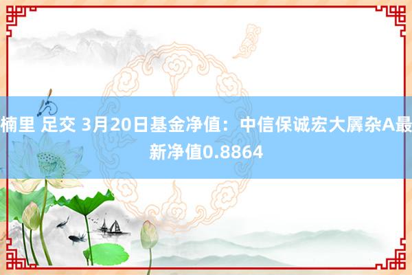 楠里 足交 3月20日基金净值：中信保诚宏大羼杂A最新净值0.8864