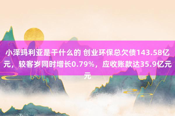 小泽玛利亚是干什么的 创业环保总欠债143.58亿元，较客岁同时增长0.79%，应收账款达35.9亿元