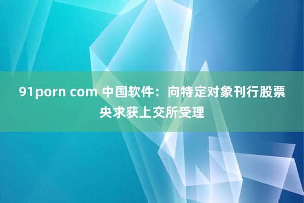 91porn com 中国软件：向特定对象刊行股票央求获上交所受理