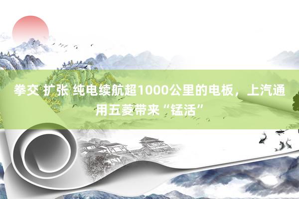 拳交 扩张 纯电续航超1000公里的电板，上汽通用五菱带来“锰活”