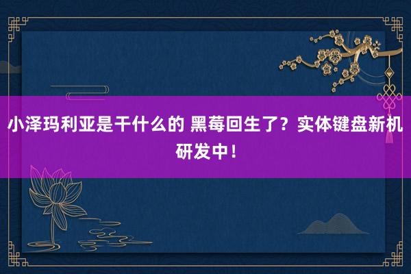 小泽玛利亚是干什么的 黑莓回生了？实体键盘新机研发中！