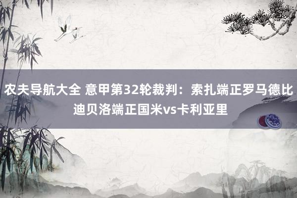 农夫导航大全 意甲第32轮裁判：索扎端正罗马德比 迪贝洛端正国米vs卡利亚里