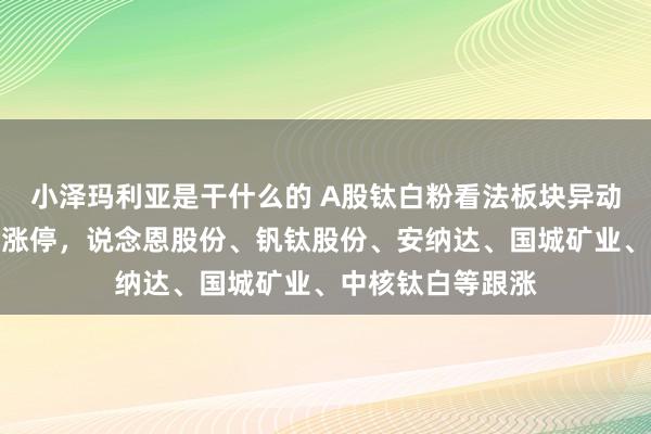 小泽玛利亚是干什么的 A股钛白粉看法板块异动走高，鲁北化工涨停，说念恩股份、钒钛股份、安纳达、国城矿业、中核钛白等跟涨