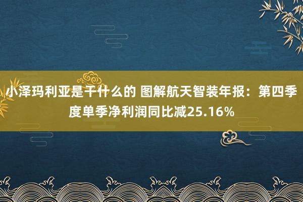 小泽玛利亚是干什么的 图解航天智装年报：第四季度单季净利润同比减25.16%