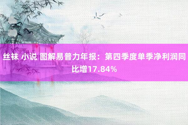 丝袜 小说 图解易普力年报：第四季度单季净利润同比增17.84%