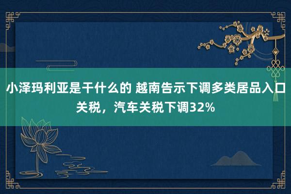 小泽玛利亚是干什么的 越南告示下调多类居品入口关税，汽车关税下调32%
