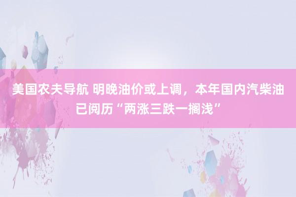 美国农夫导航 明晚油价或上调，本年国内汽柴油已阅历“两涨三跌一搁浅”