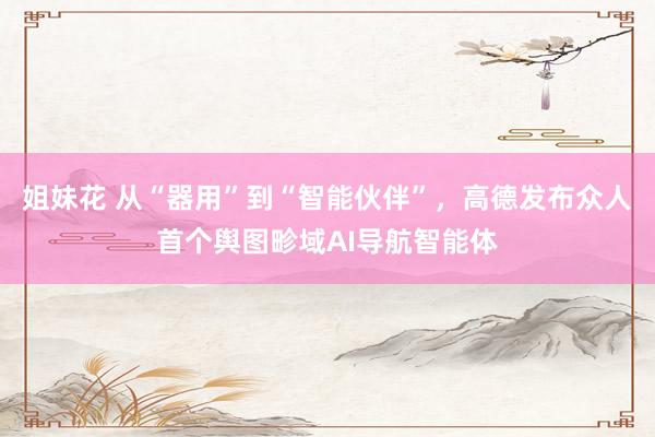 姐妹花 从“器用”到“智能伙伴”，高德发布众人首个舆图畛域AI导航智能体