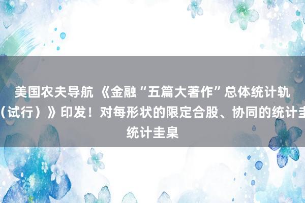 美国农夫导航 《金融“五篇大著作”总体统计轨制（试行）》印发！对每形状的限定合股、协同的统计圭臬