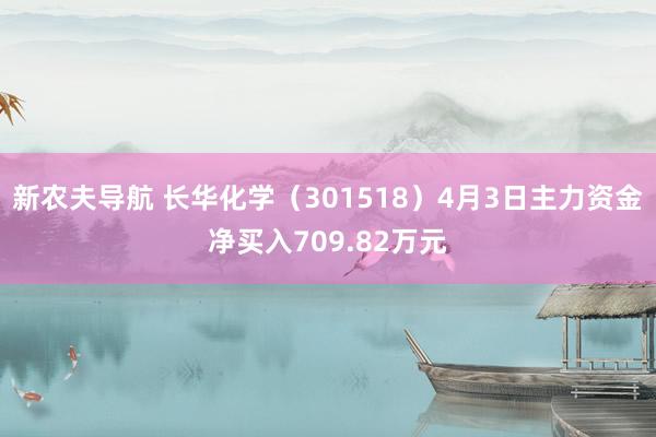 新农夫导航 长华化学（301518）4月3日主力资金净买入709.82万元