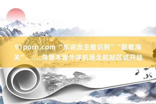 91porn，com “东说念主脸识别”“聪敏海关”……乌鲁木皆外洋机场北航站区试开动