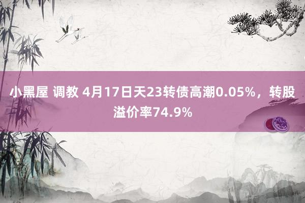 小黑屋 调教 4月17日天23转债高潮0.05%，转股溢价率74.9%