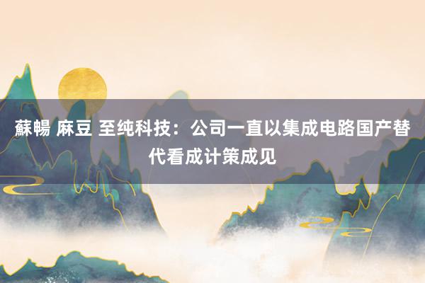 蘇暢 麻豆 至纯科技：公司一直以集成电路国产替代看成计策成见