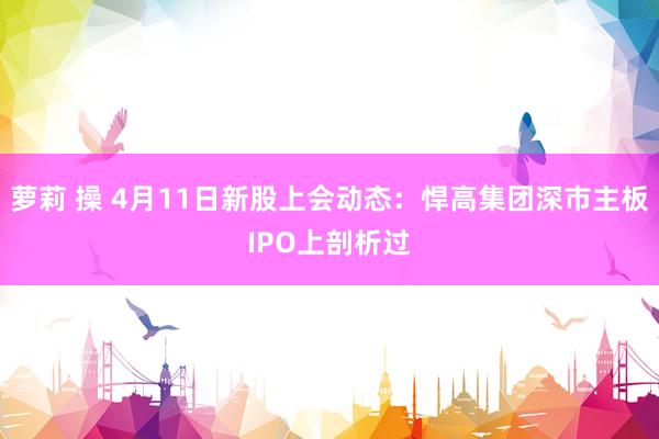 萝莉 操 4月11日新股上会动态：悍高集团深市主板IPO上剖析过
