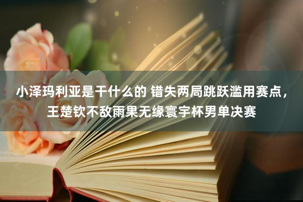 小泽玛利亚是干什么的 错失两局跳跃滥用赛点，王楚钦不敌雨果无缘寰宇杯男单决赛