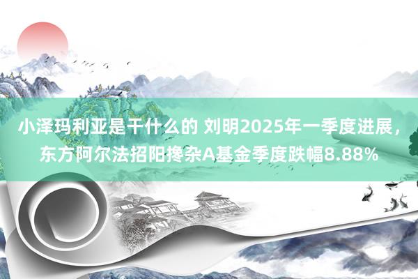 小泽玛利亚是干什么的 刘明2025年一季度进展，东方阿尔法招阳搀杂A基金季度跌幅8.88%