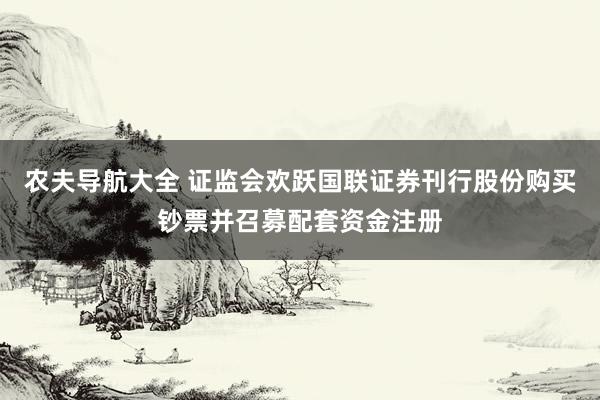 农夫导航大全 证监会欢跃国联证券刊行股份购买钞票并召募配套资金注册