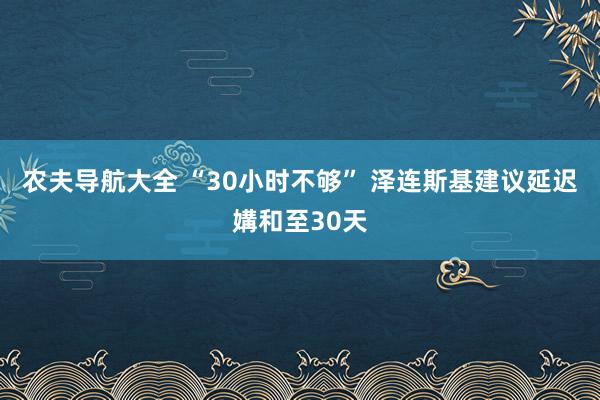 农夫导航大全 “30小时不够” 泽连斯基建议延迟媾和至30天