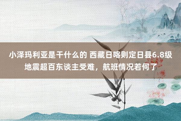 小泽玛利亚是干什么的 西藏日喀则定日县6.8级地震超百东谈主受难，航班情况若何了
