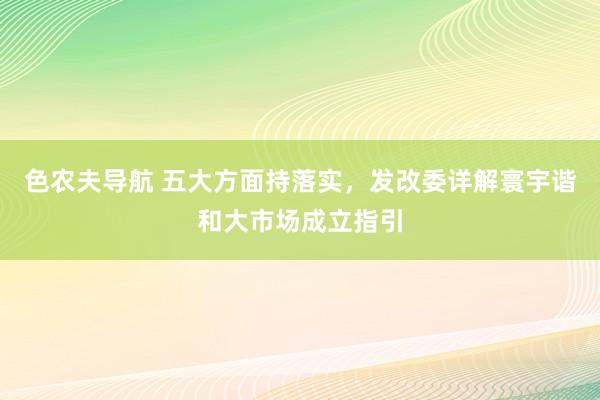 色农夫导航 五大方面持落实，发改委详解寰宇谐和大市场成立指引