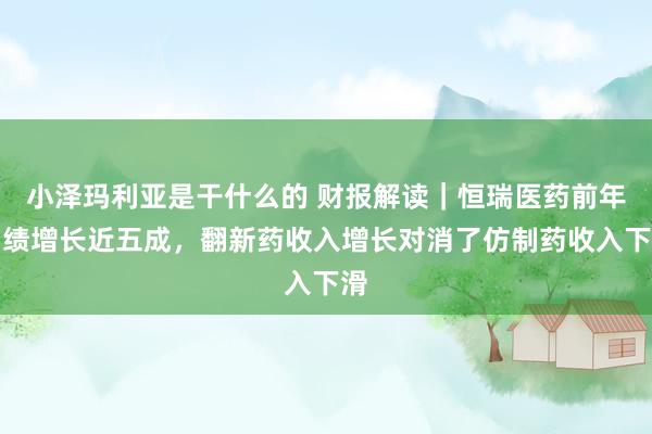 小泽玛利亚是干什么的 财报解读｜恒瑞医药前年功绩增长近五成，翻新药收入增长对消了仿制药收入下滑