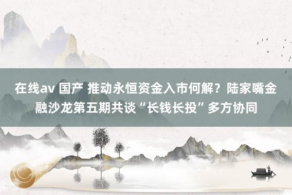 在线av 国产 推动永恒资金入市何解？陆家嘴金融沙龙第五期共谈“长钱长投”多方协同