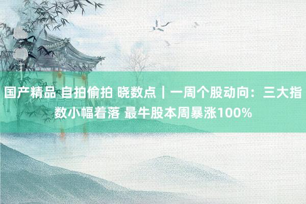 国产精品 自拍偷拍 晓数点｜一周个股动向：三大指数小幅着落 最牛股本周暴涨100%