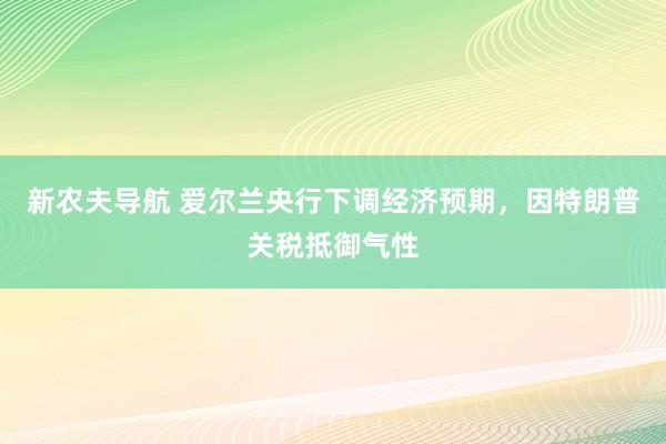 新农夫导航 爱尔兰央行下调经济预期，因特朗普关税抵御气性