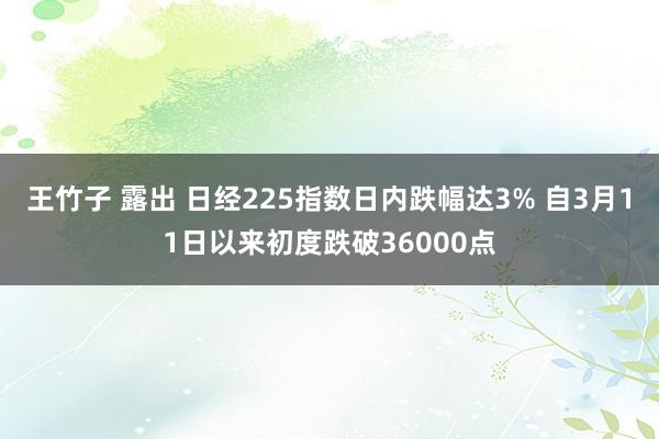 王竹子 露出 日经225指数日内跌幅达3% 自3月11日以来初度跌破36000点