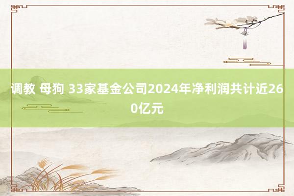 调教 母狗 33家基金公司2024年净利润共计近260亿元
