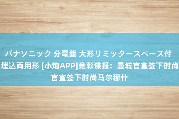 パナソニック 分電盤 大形リミッタースペース付 露出・半埋込両用形 [小炮APP]竞彩谍报：曼城官宣签下时尚马尔穆什