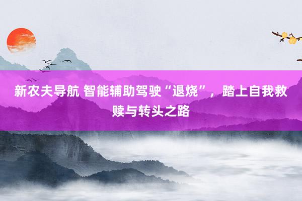新农夫导航 智能辅助驾驶“退烧”，踏上自我救赎与转头之路