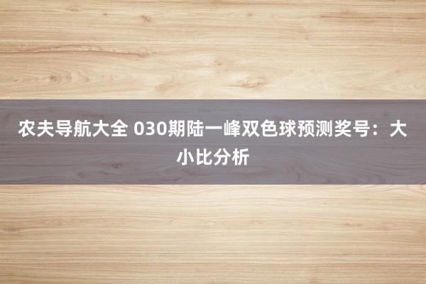 农夫导航大全 030期陆一峰双色球预测奖号：大小比分析