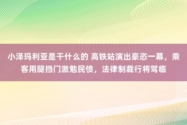 小泽玛利亚是干什么的 高铁站演出豪恣一幕，乘客用腿挡门激勉民愤，法律制裁行将驾临