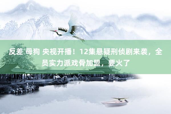 反差 母狗 央视开播！12集悬疑刑侦剧来袭，全员实力派戏骨加盟，要火了